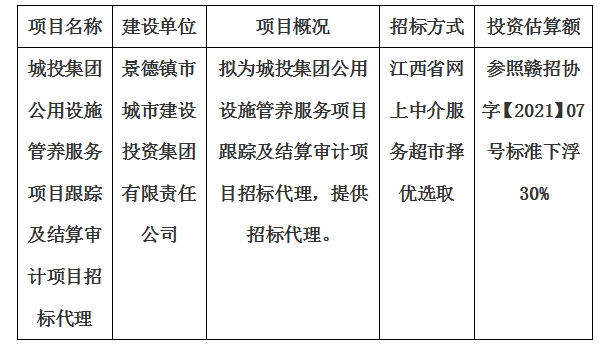城投集團(tuán)公用設(shè)施管養(yǎng)服務(wù)項目跟蹤及結(jié)算審計項目招標(biāo)代理計劃公告