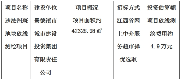 違法圖斑地塊放線測繪項(xiàng)目計(jì)劃公告