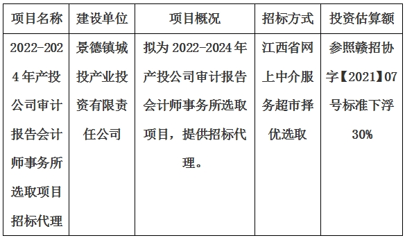 2022-2024年產(chǎn)投公司審計報告會計師事務(wù)所選取項目招標(biāo)代理計劃公告