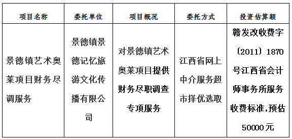 景德鎮(zhèn)藝術奧萊項目財務盡調服務計劃公告