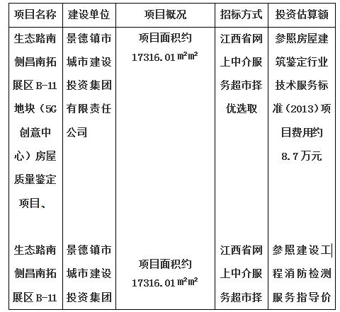生態(tài)路南側(cè)昌南拓展區(qū)B-11地塊（5G創(chuàng)意中心）房屋質(zhì)量鑒定項目、生態(tài)路南側(cè)昌南拓展區(qū)B-11地塊（5G創(chuàng)意中心）消防安全評估項目計劃公告